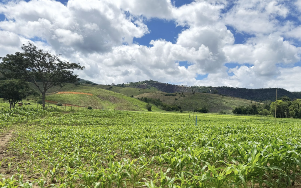 working remote in Brazil - Kasada